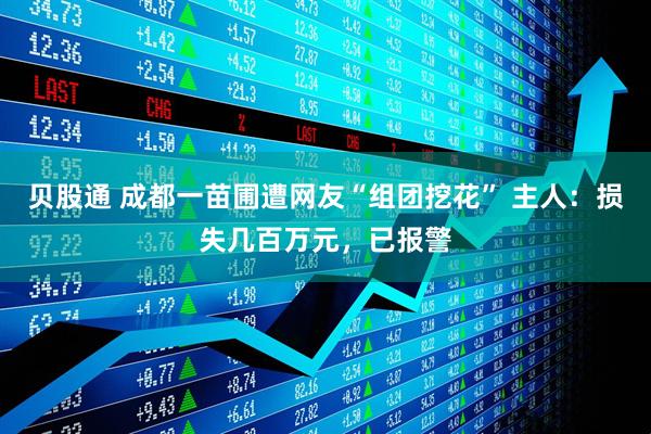 贝股通 成都一苗圃遭网友“组团挖花” 主人：损失几百万元，已报警