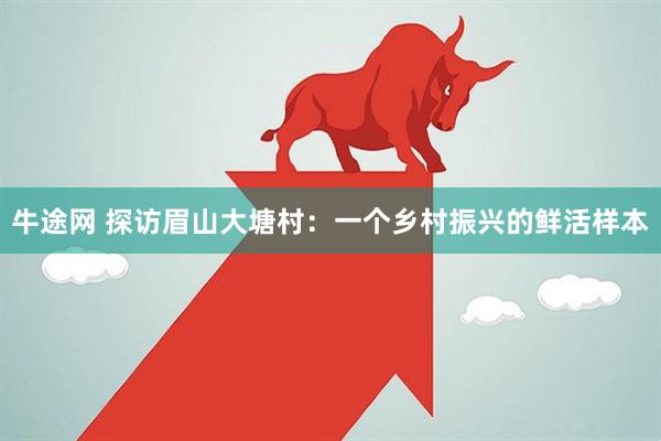 牛途网 探访眉山大塘村：一个乡村振兴的鲜活样本