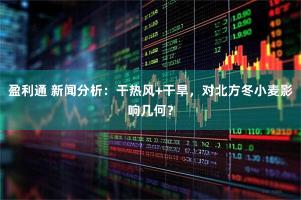 盈利通 新闻分析：干热风+干旱，对北方冬小麦影响几何？
