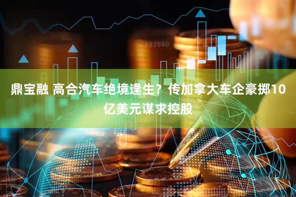 鼎宝融 高合汽车绝境逢生？传加拿大车企豪掷10亿美元谋求控股