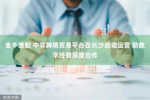 金牛速配 中非跨境贸易平台在长沙启动运营 助数字经贸深度合作