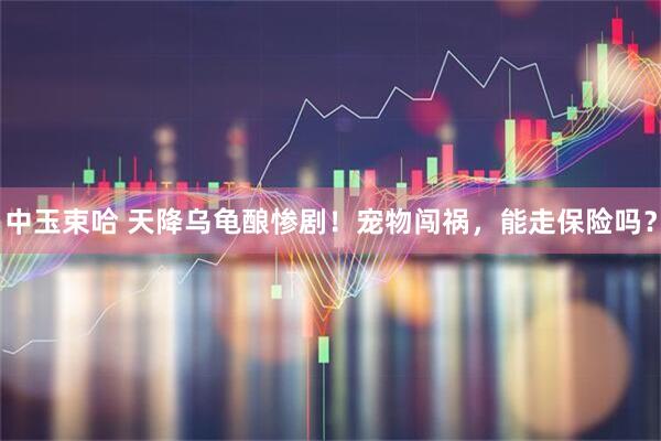 中玉束哈 天降乌龟酿惨剧！宠物闯祸，能走保险吗？