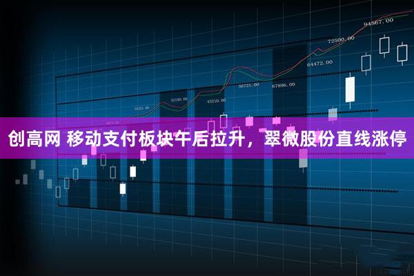 创高网 移动支付板块午后拉升，翠微股份直线涨停
