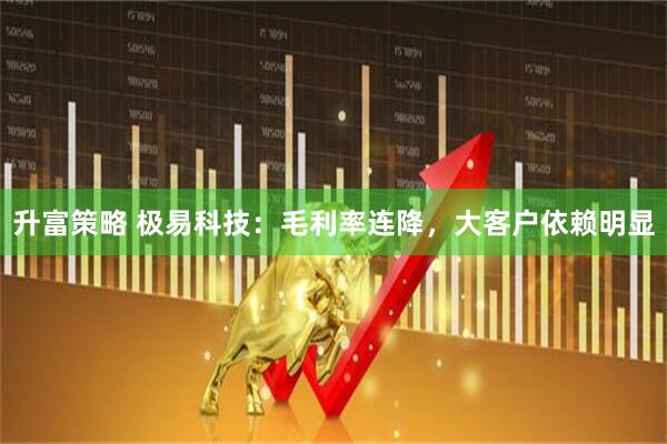 升富策略 极易科技：毛利率连降，大客户依赖明显