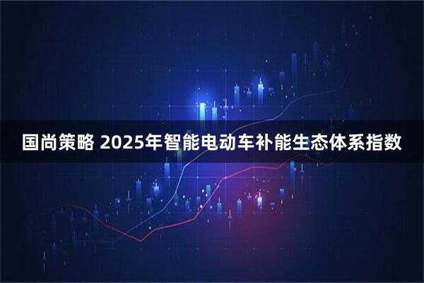 国尚策略 2025年智能电动车补能生态体系指数