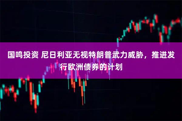 国鸣投资 尼日利亚无视特朗普武力威胁，推进发行欧洲债券的计划