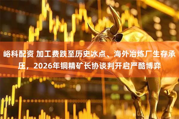 峪科配资 加工费跌至历史冰点、海外冶炼厂生存承压，2026年铜精矿长协谈判开启严酷博弈