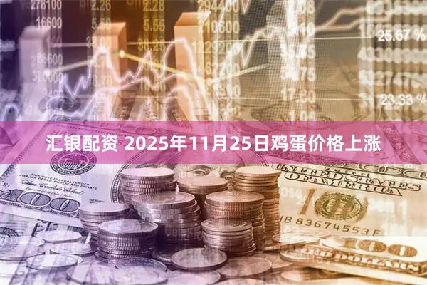 汇银配资 2025年11月25日鸡蛋价格上涨